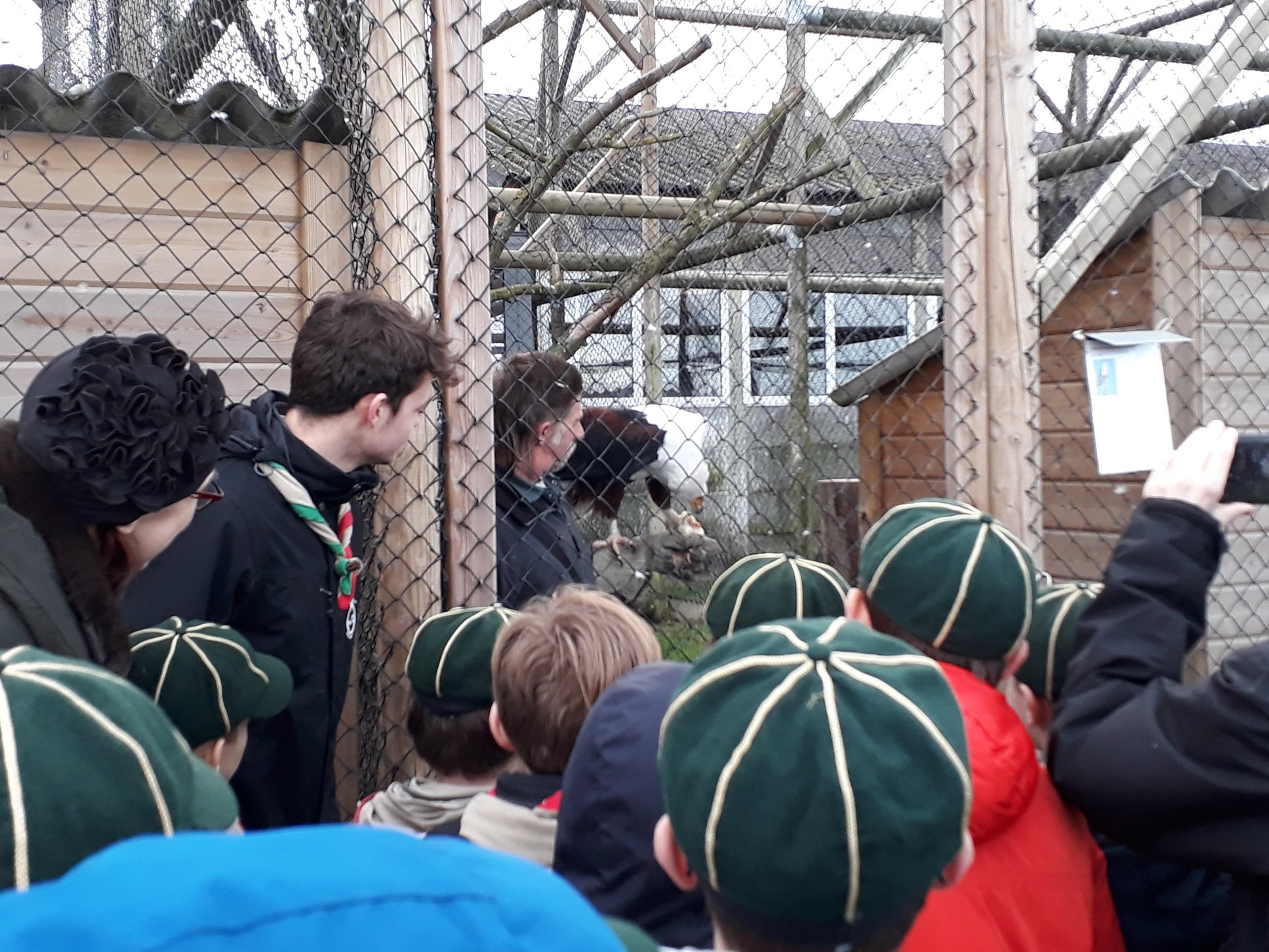 Sint-Martinus den XIIde - Roofvogelactiviteit WHV